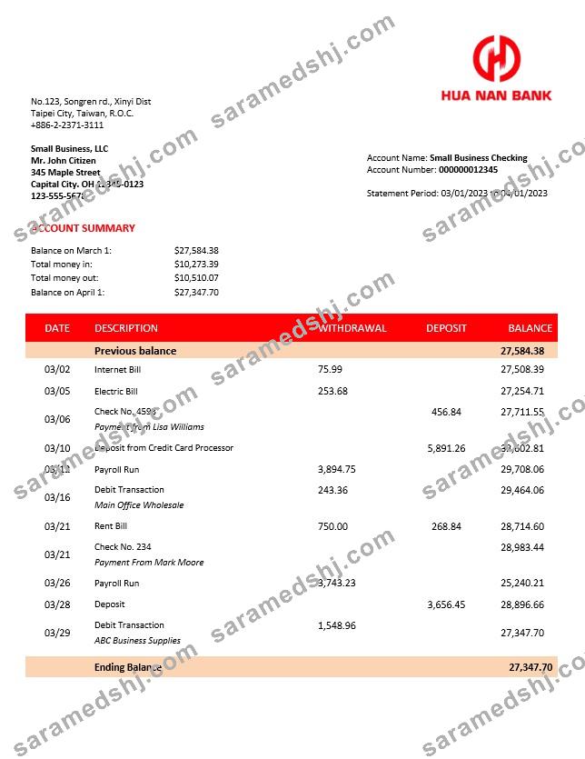 Hua Nan Financial Holdings firm bank statement Word and PDF template